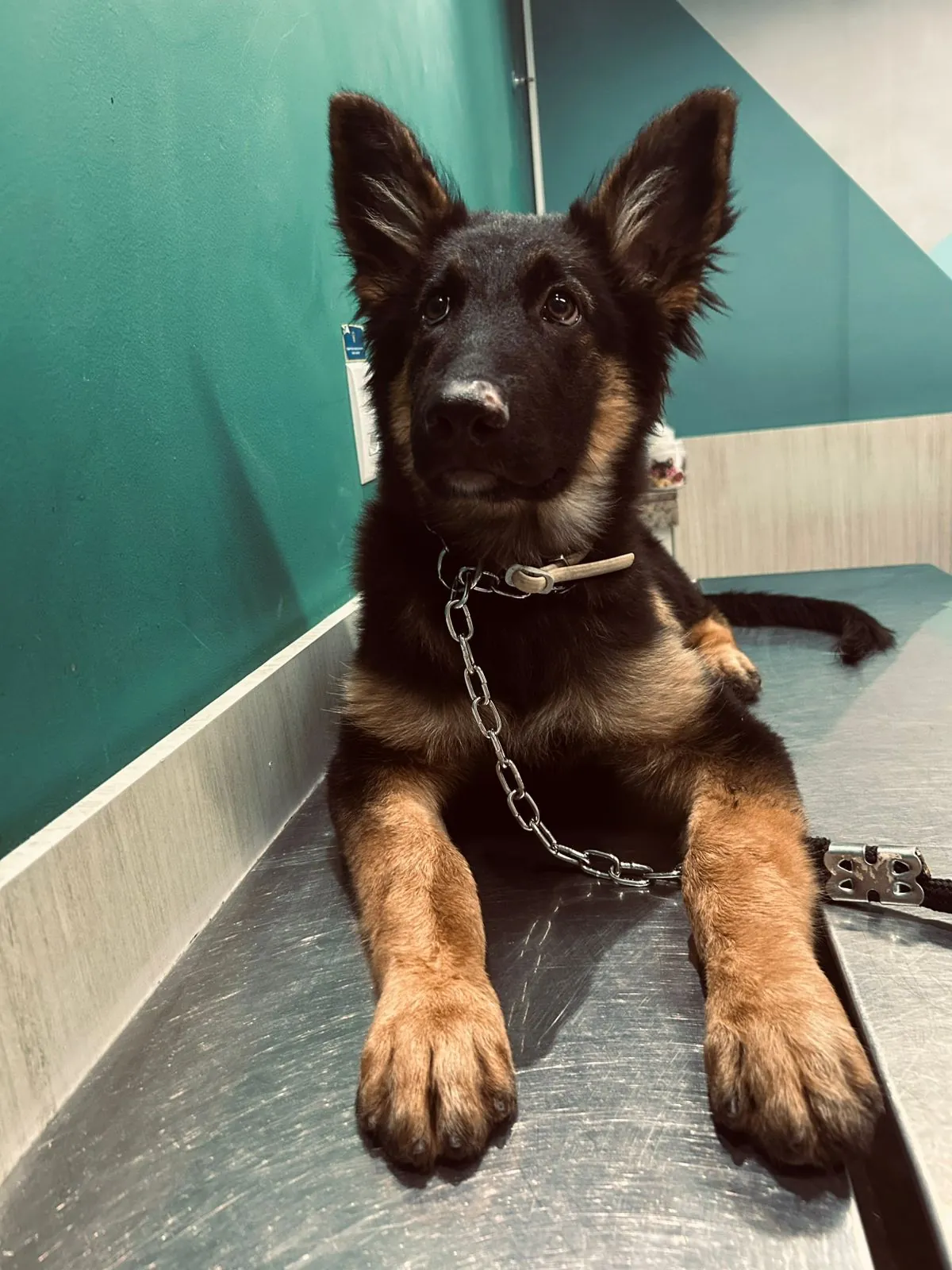 Pacientes recebendo cuidado humanizado