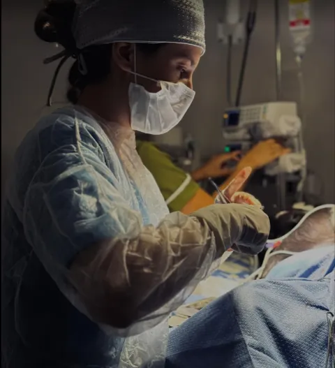 Hospital Veterinário Angrisano 24h